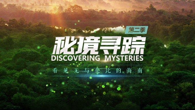 逃离野鸡森林