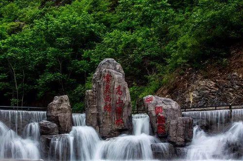 星动，只为你